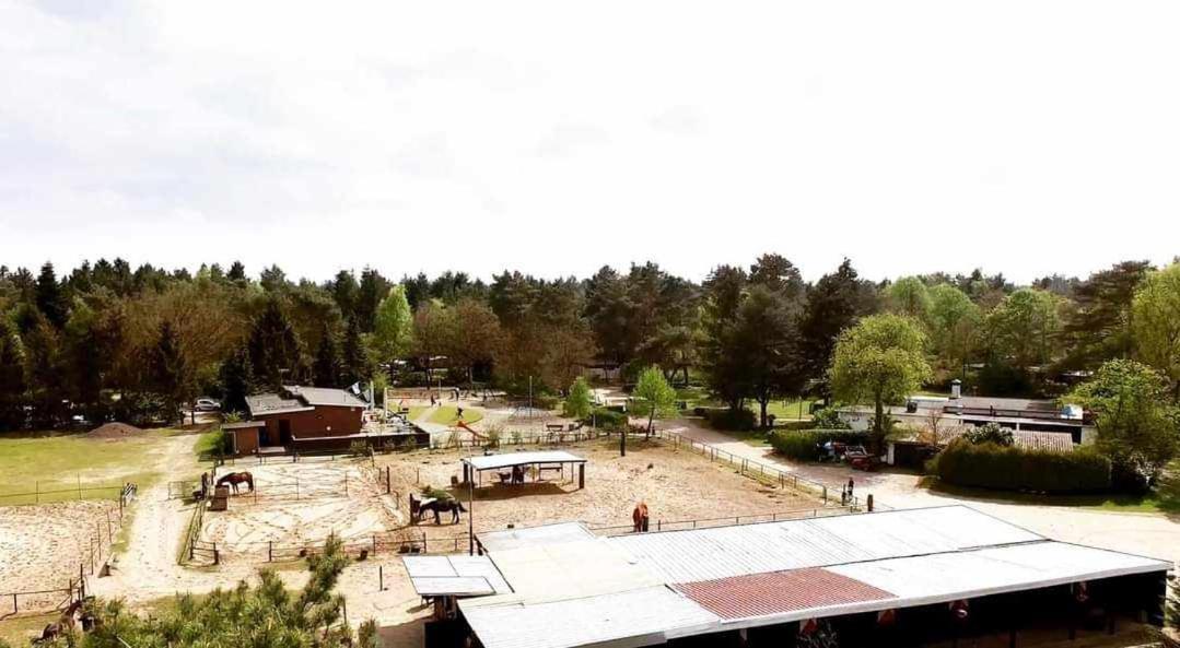 Prachtig Chalet In De Bossen Nunspeet Exteriör bild